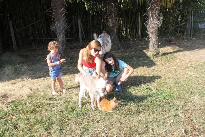 Nova Francarolis ânesse micromini pie avec Emilie et ses enfants