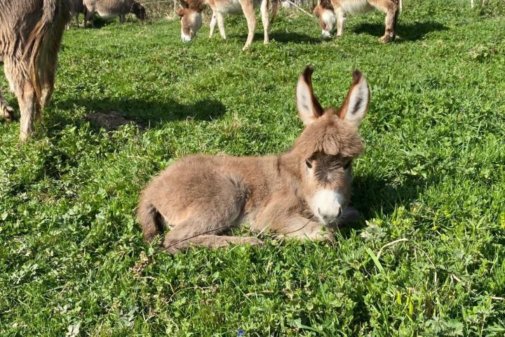 Petite sieste bien méritée pour Miya Francarolis