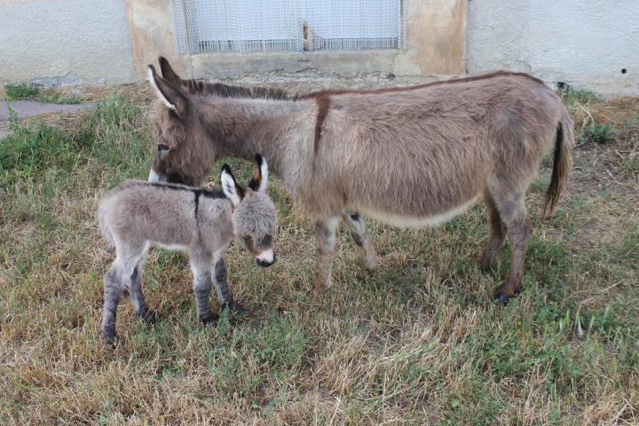 Bastian Francarolis et sa maman Margie