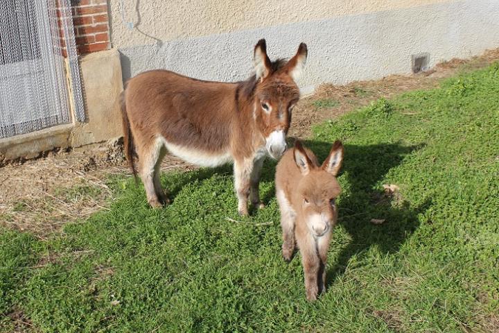 Nala Francarolis et sa maman Capucine