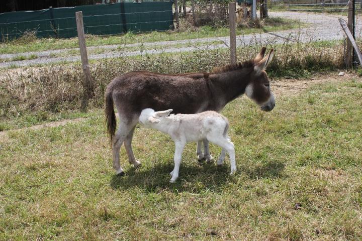 Draco Francarolis et sa maman Salome