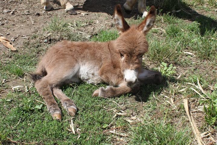 Petite sieste bien méritée pour Jerry Francarolis