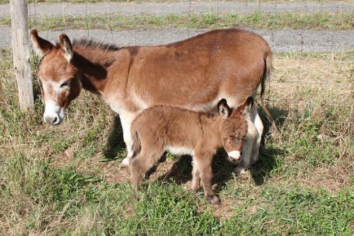 Junior et sa mère Jolène