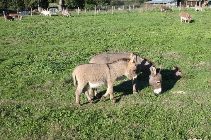 Léo Francarolis et sa maman Asti Francarolis