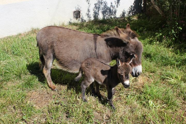 Lila et Carrie