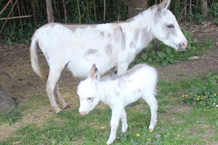 Mahmut Francarolis et sa maman GP Vanina 