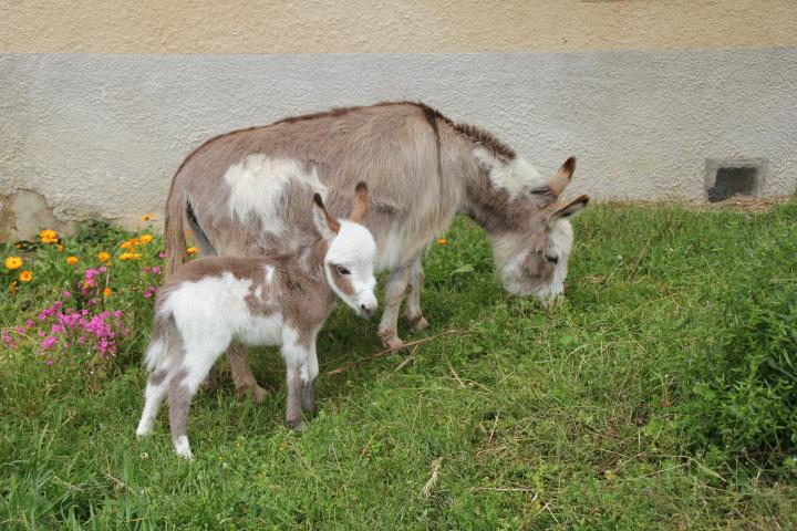 Ilane Francarolis et sa maman Matilda