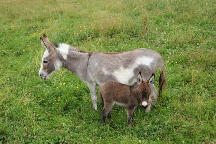 Matilda et Peter