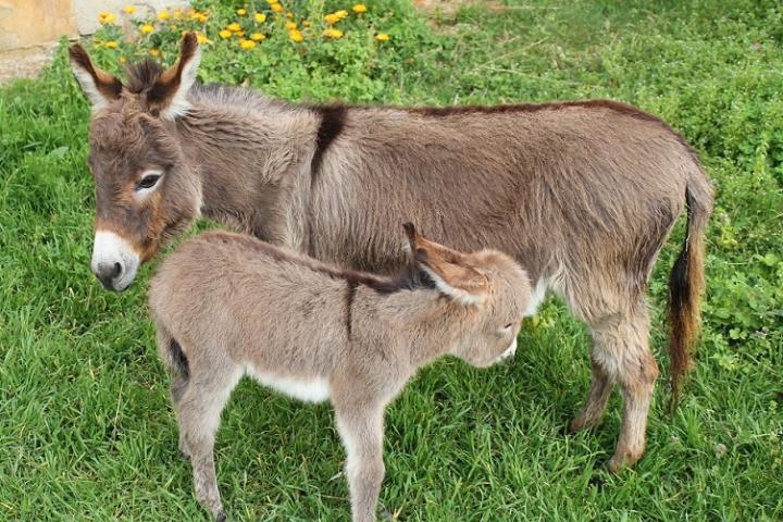 Mimi avec sa fille Miya première sortie