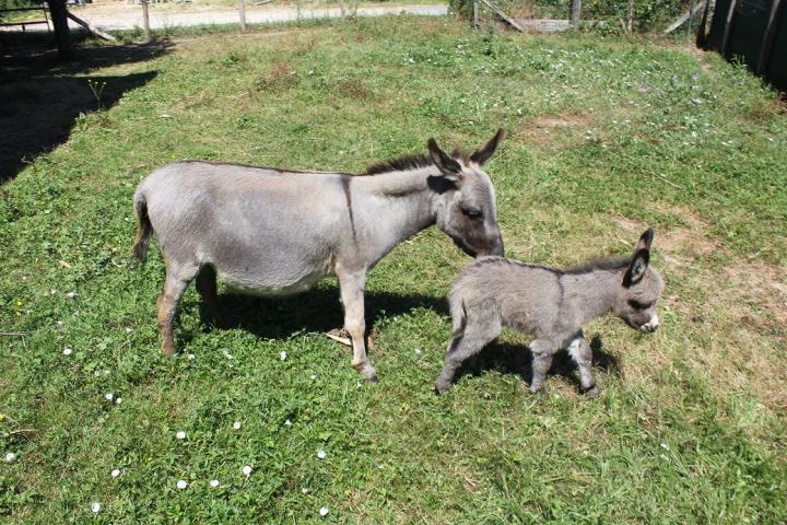 Nikita Francarolis et sa maman Viktoria de 68 cm.