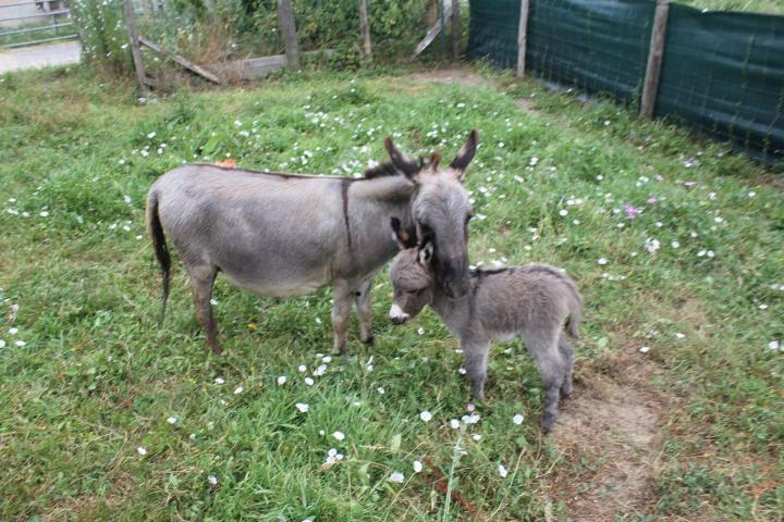 Nikita Francarolis microminiature et Viktoria sa maman