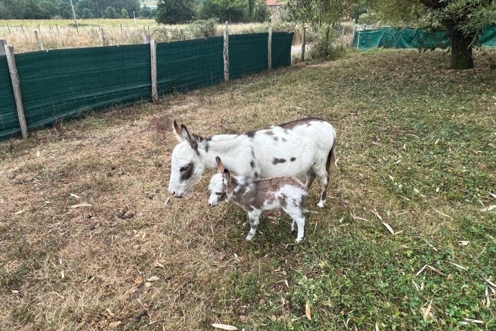 Nina Francarolis incroyable mais vrai 35 cm à la naissance et Joy