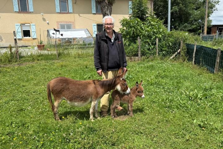 Papyrus Francarolis mâle rouge micromini MDR