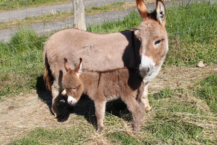 Pinky Francarolis et Santos