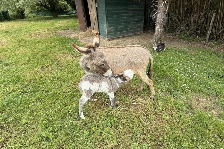 Queenie Francarolis et sa maman Harmonie