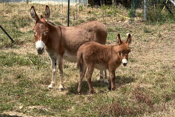 Sandy et Jerry Francarolis