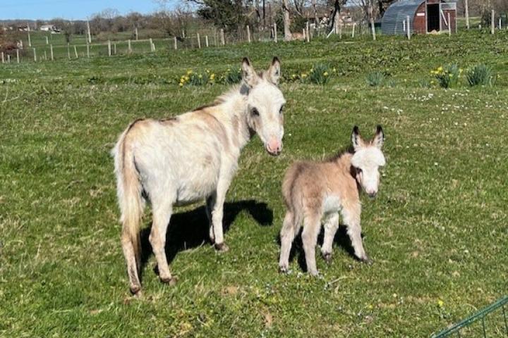 Tilka Francarolis et Vanina sa maman