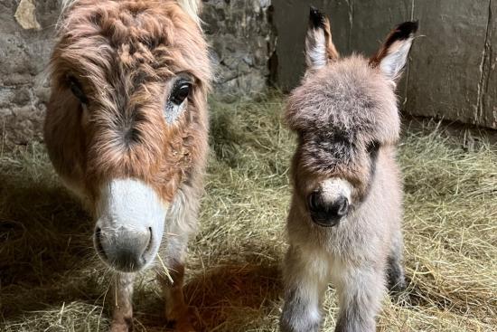 Opale et Rose sa maman le jour de sa naissance