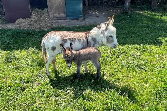 Poppi Francarolis et Lolita sa maman