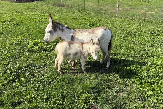Ptitâne Francarolis et Caroline sa maman