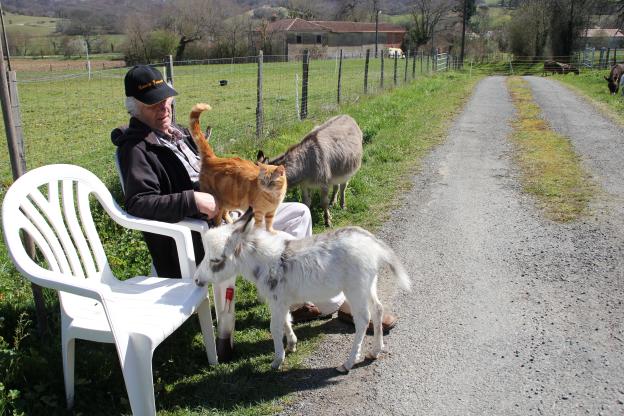 Francis en compagnie de ses copains les ânes et le chat Tictic