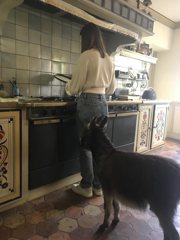 Kiki adore les crêpes et la vie de chateau