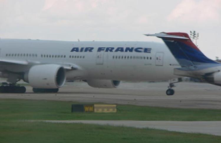 Vol-air-france-vers-paris-anes-miniatures