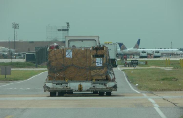 Départ des ânesses vers la zone d'embarquement