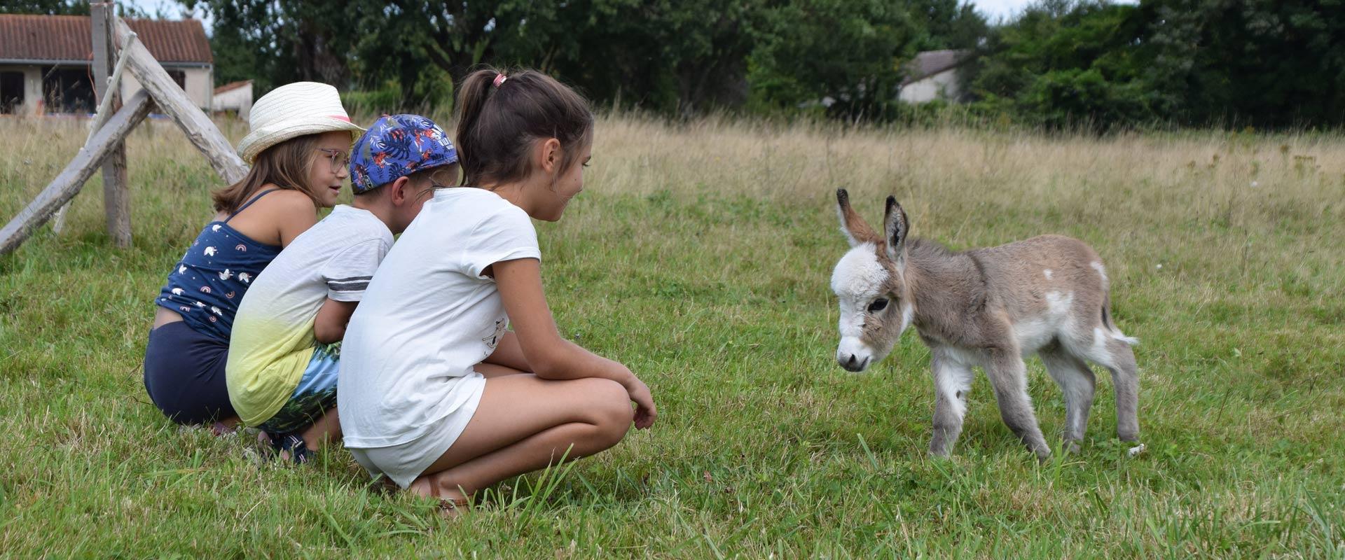 enfants et ânes miniatures